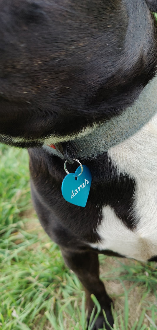 Pet Tag
